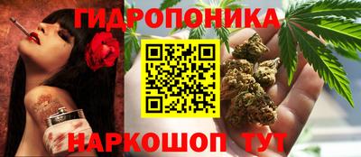 2c-b Кинель